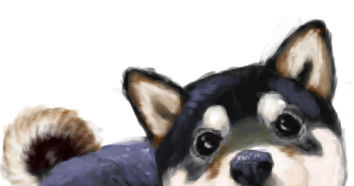 【那只最可爱？】柴犬特辑