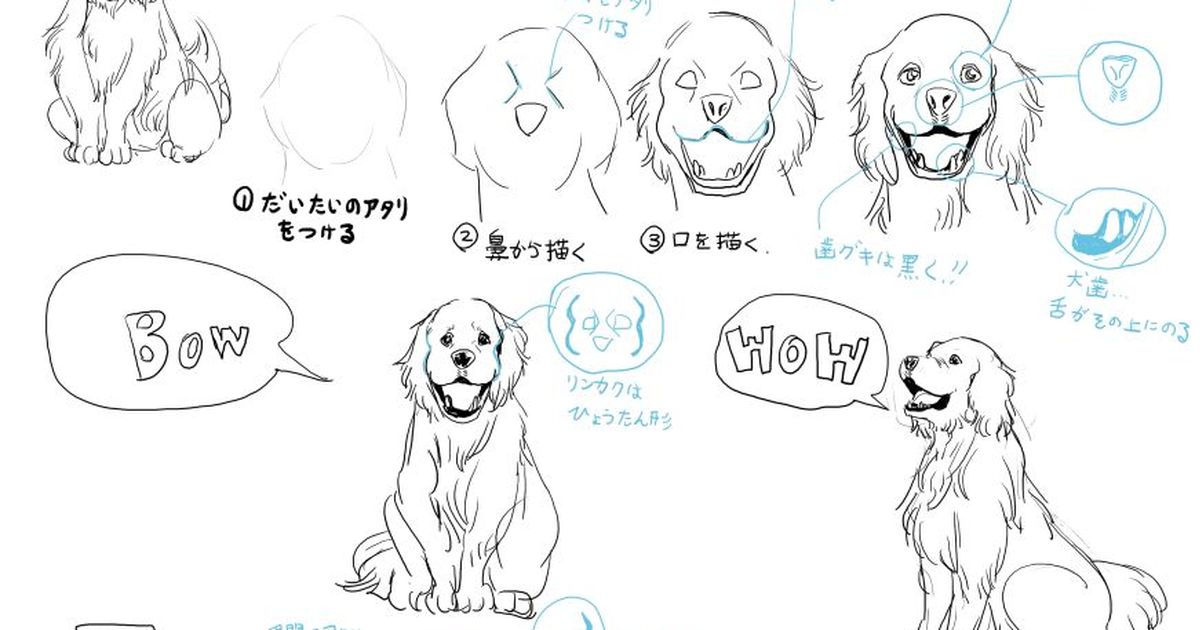 【讲座】精选9个狗的画法【绘画过程】
