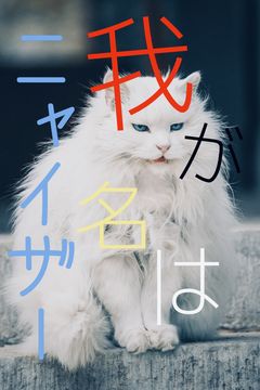 我が名はニャイザー