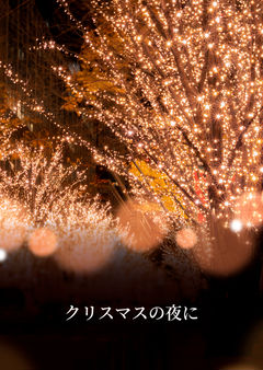 クリスマスの夜に