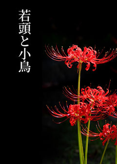 1 若頭と小鳥