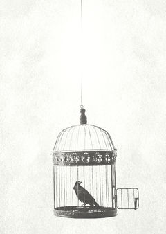 【人外】触手持ち地球外生命体さんに見つかって気に入られてしまい逃げられずに✕✕されるお話