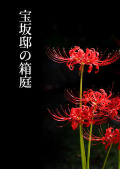 1 雨の日の落としもの