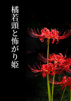 1 夜桜の離れ