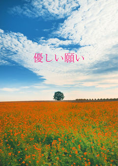 【壬猫】優しい願い