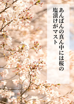あんぱんの真ん中には桜の塩漬けがマスト