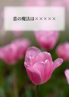 恋の魔法は×××××