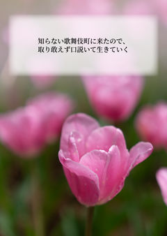 知らない歌舞伎町に来たので、取り敢えず口説いて生きていく
