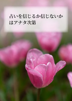占いを信じるか信じないかはアナタ次第