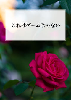 これはゲームじゃない