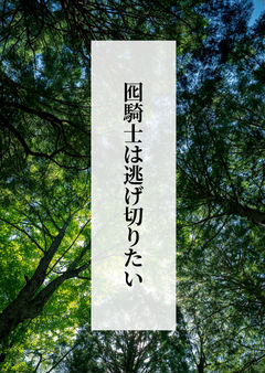 囮騎士は逃げ切りたい