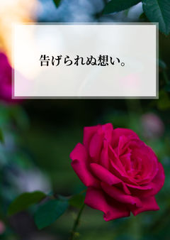 告げられぬ想い。