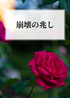 崩壊の兆し