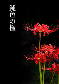 鈍色の檻