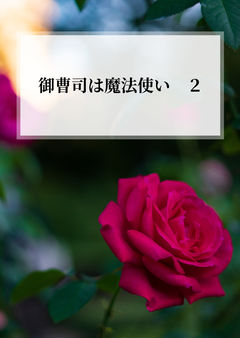 埡æ¹åžã¯éæ³äœ¿ããïŒ