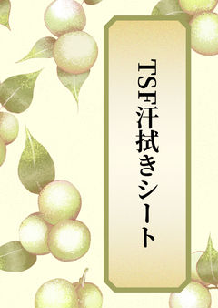 TSF汗拭きシート