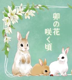 卯の花　咲く頃