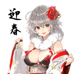 This is a pixiv picture whose title is 謹賀新年.