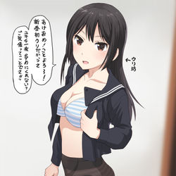 This is a pixiv picture whose title is 新春初売り.