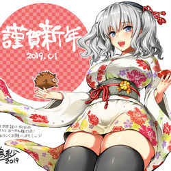 This is a pixiv picture whose title is 2019年明けましておめでとう絵.