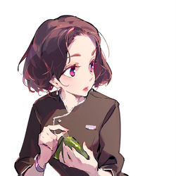 This is a pixiv picture whose title is 戰鬥午餐 / ランチラッシュ.