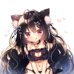 This is a pixiv picture whose title is ねこランジェリー！.