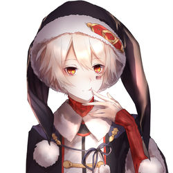 This is a pixiv picture whose title is (･ω´･ ).