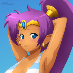 This is a pixiv picture whose title is Shantae Bikini (Commission).