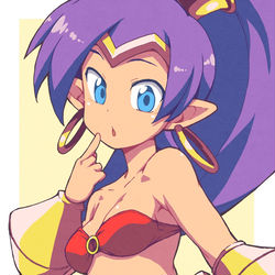 This is a pixiv picture whose title is シャンティ.