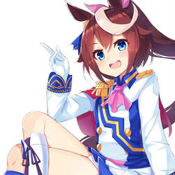 This is a pixiv picture whose title is テイオー.