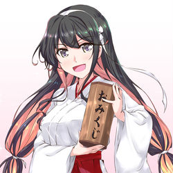 This is a pixiv picture whose title is 巫女波サマ光臨！.