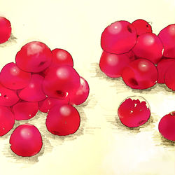 This is a pixiv picture whose title is 山盛りカリカリ梅.