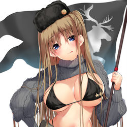 This is a pixiv picture whose title is シベリア寒気団長.