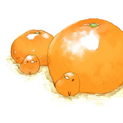 This is a pixiv picture whose title is みかんとオレンジ.