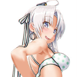 This is a pixiv picture whose title is 秋津洲.
