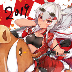 This is a pixiv picture whose title is 猪突猛進イノシシライダー🐗.