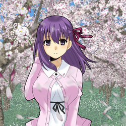 This is a pixiv picture whose title is HF二章観た.