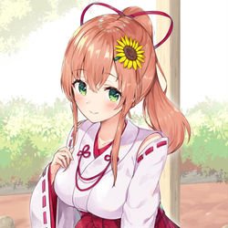 This is a pixiv picture whose title is 巫女ひまちゃん.