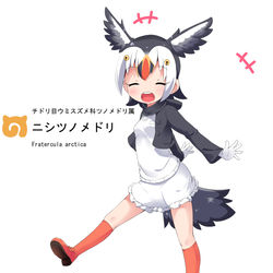 This is a pixiv picture whose title is けものとフレンズ.