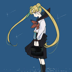 This is a pixiv picture whose title is セラムン.