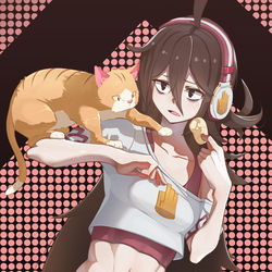 This is a pixiv picture whose title is 観音.
