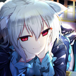 This is a pixiv picture whose title is のらきゃっと.
