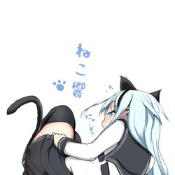 This is a pixiv picture whose title is ネコ響.