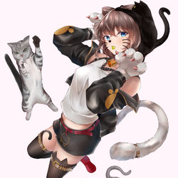 This is a pixiv picture whose title is 猫.