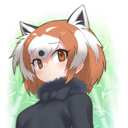 This is a pixiv picture whose title is ﾚｯｻｰﾊﾟﾝﾀﾞ.