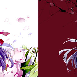 This is a pixiv picture whose title is Lost Butterfly.