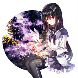 This is a pixiv picture whose title is ほむらちゃん.