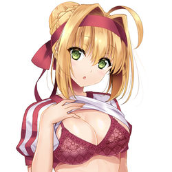 This is a pixiv picture whose title is ネロちゃま.