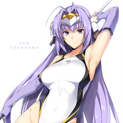 This is a pixiv picture whose title is 競泳ランス～戦姫～.
