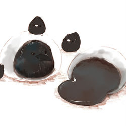 This is a pixiv picture whose title is からすとごまだんご.